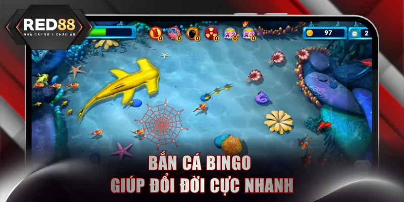 Bắn cá Bingo giúp đổi đời cực nhanh