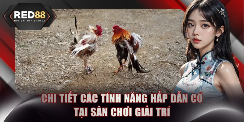 Chi tiết các tính năng hấp dẫn có tại sân chơi giải trí
