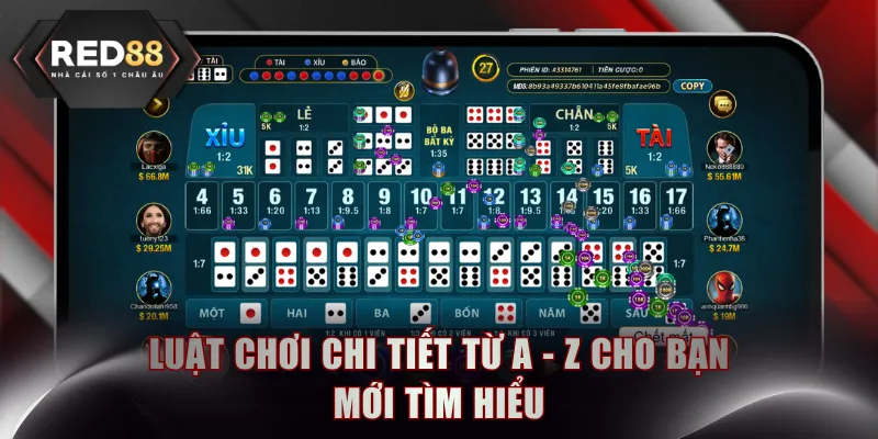 Luật chơi chi tiết từ A - Z cho bạn mới tìm hiểu