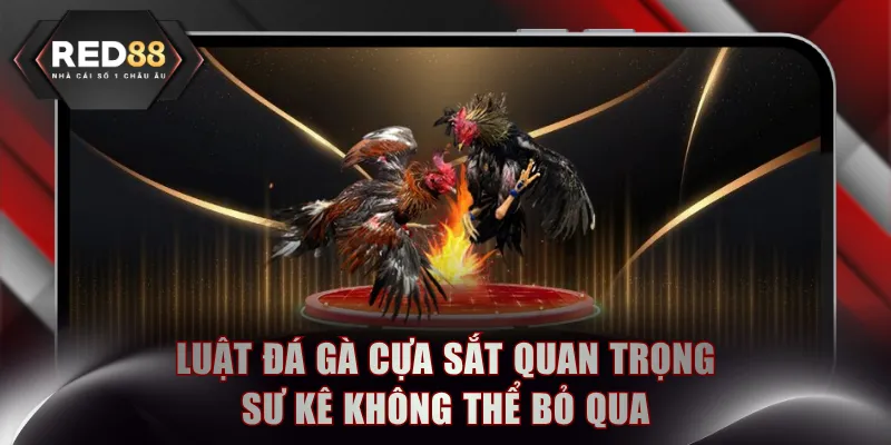 Đá gà cựa sắt