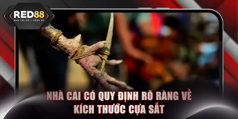Nhà cái có quy định rõ ràng về kích thước cựa sắt