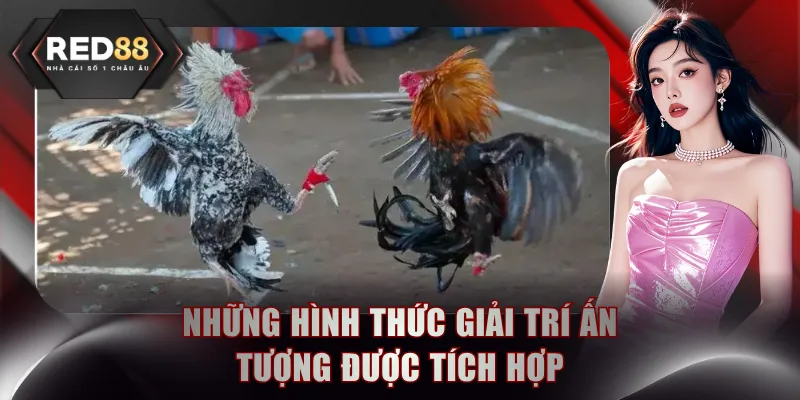 Những hình thức giải trí ấn tượng được tích hợp