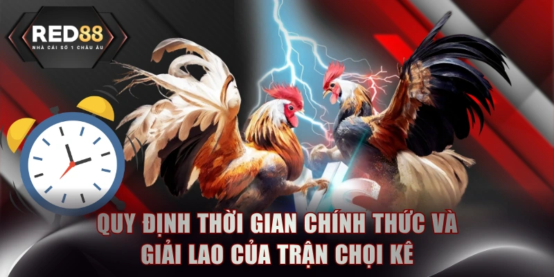 Quy định thời gian chính thức và giải lao của trận chọi kê