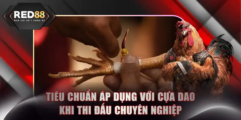 Tiêu chuẩn áp dụng với cựa dao khi thi đấu chuyên nghiệp