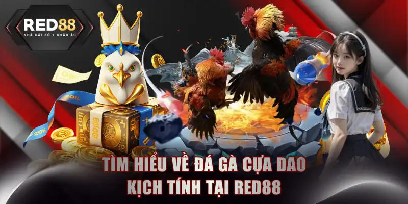 Tìm hiểu về đá gà cựa dao kịch tính tại RED88